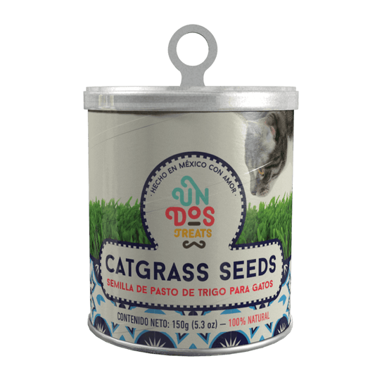 CatGrass Seeds de Un Dos Treats